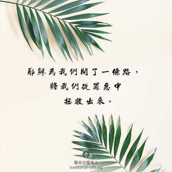 圖片-57738848_2390941667859007_845981366150496256_n.jpg
