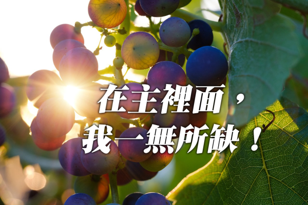 圖片-64256682_2431082067178300_8418330157235830784_o.jpg