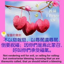 圖片-66812149_2449705171982656_1372001339629895680_n.jpg