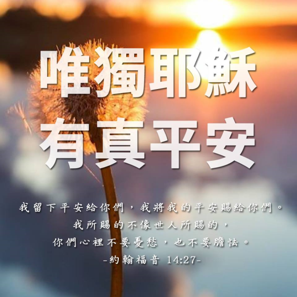 圖片-68438577_2474217662864740_8277504978533220352_n.jpg