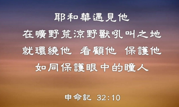 圖片-69487155_2480982425521597_5381145403963998208_o.jpg