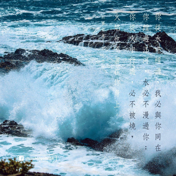 圖片-69397173_2490331091253397_9004550849057259520_o.jpg