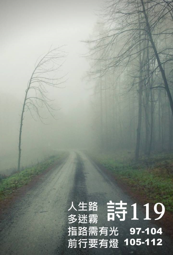 圖片-72786341_2534185253534647_4311595725742931968_o.jpg