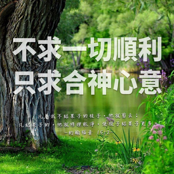 圖片-75439449_2563710647248774_8124106978856271872_n.jpg