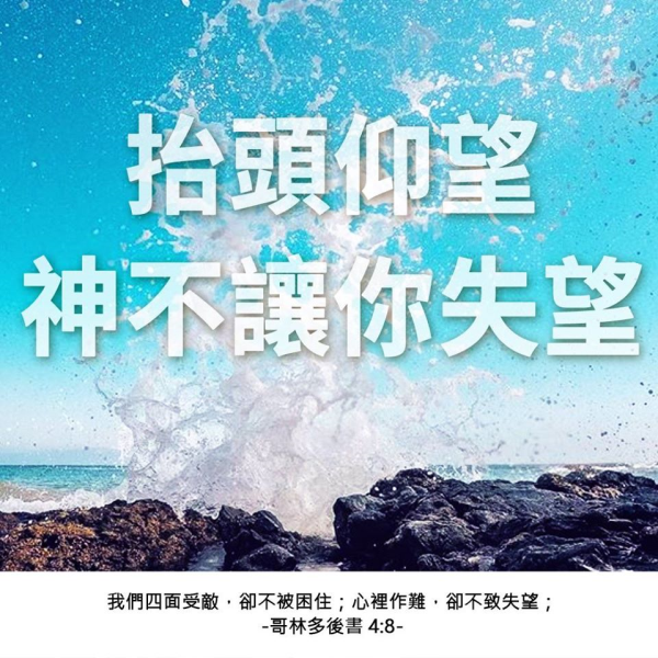 圖片-80817413_2603803046572867_4124424757540028416_n.jpg