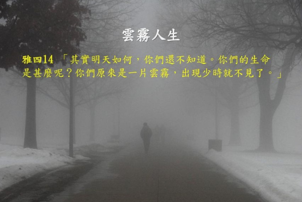 圖片-89436283_2662605254025979_4088632991176196096_n.jpg