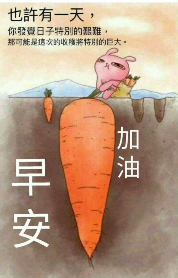 圖片-125862629_2885661885053647_6894134421040370987_o.jpg